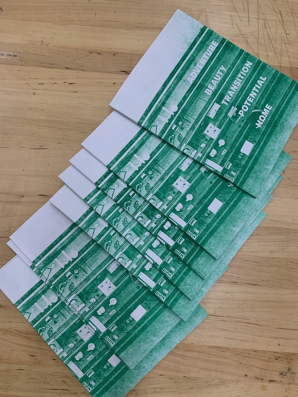 White and green pamphlets spread out on a table with the words 'ADVENTURE BEAUTY TRANSITION POTENTIAL HOME' in all caps font on the cover