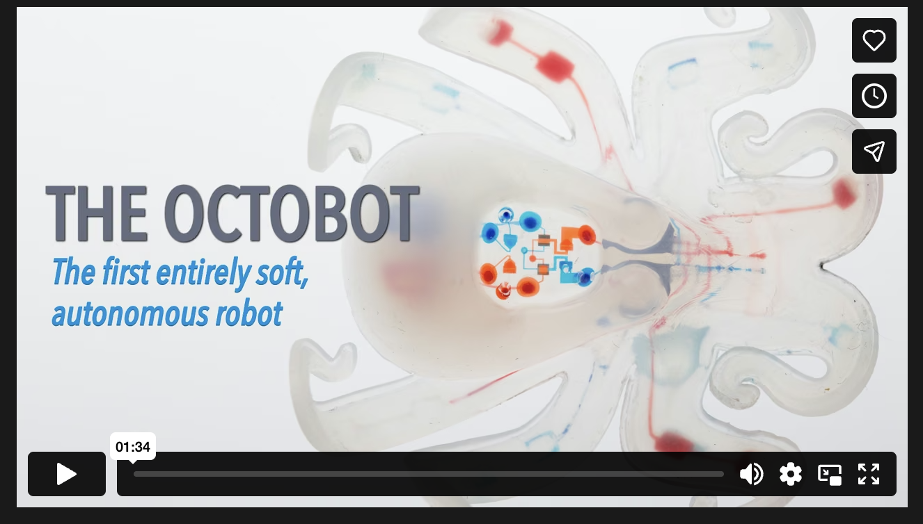 Screenshot of video on The Octobot, 'the first entirely soft, autonomous robot'. In the background a near-transparent blob appears to have blue and orange circuits like veins inside it.