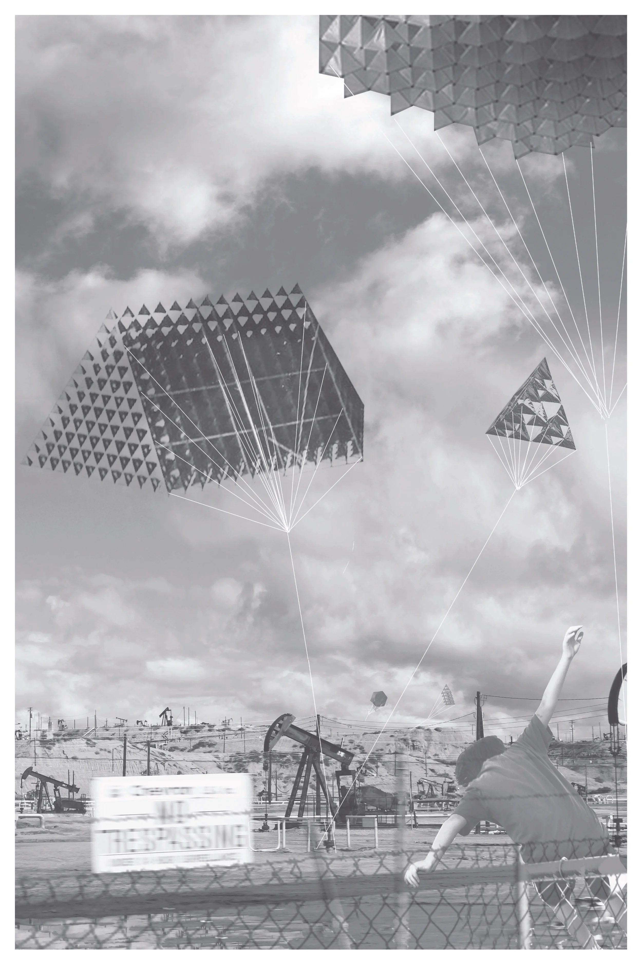 5_KiteField.jpg