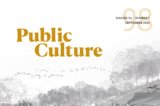 "Manifold Enclosures" article published in Public Culture