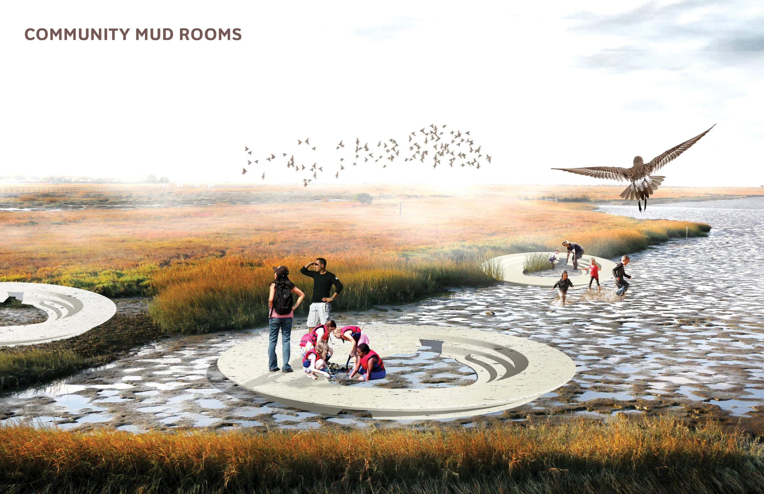 Public Sediment Presents Design Concepts
