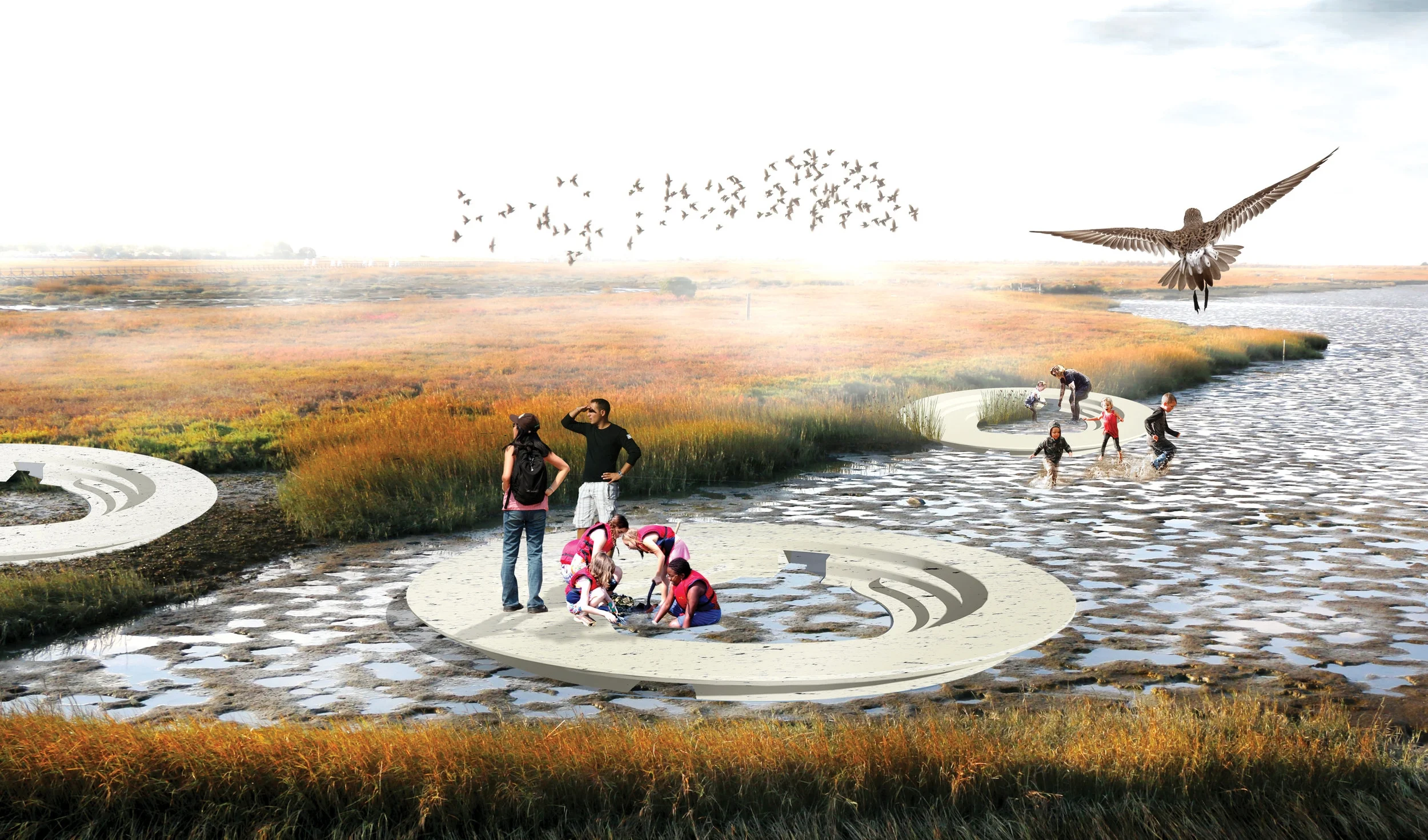 Public Sediment - Research Phase