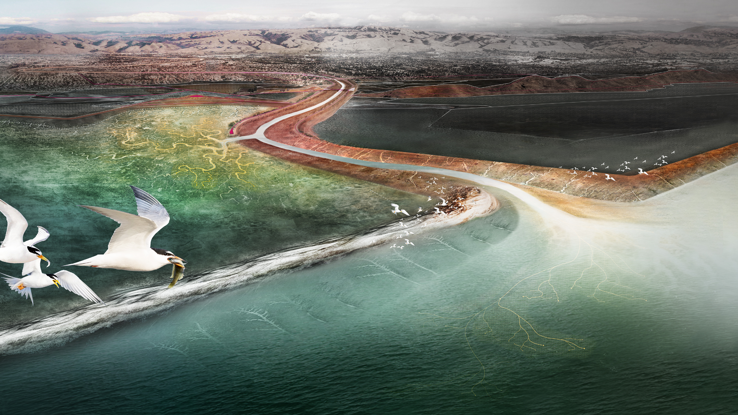 Public Sediment Awarded Grant from NFWF and NOAA