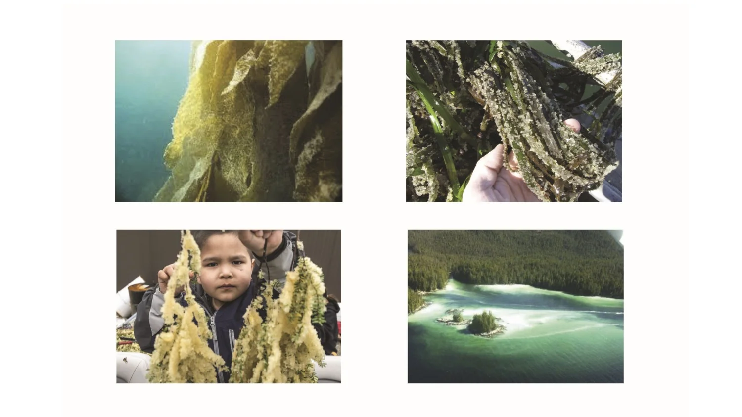 Vertical Shore  6.jpg