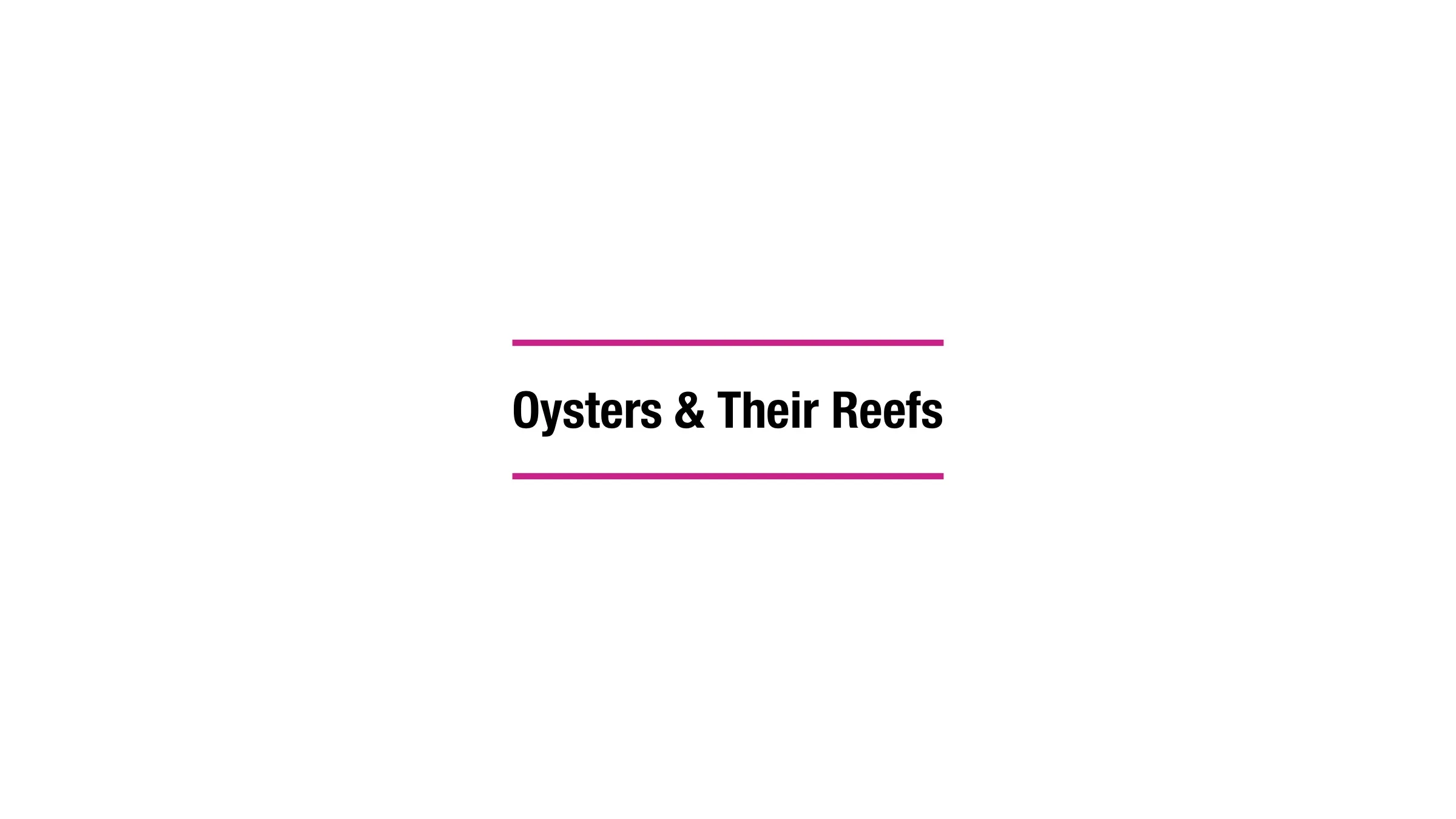 ReefScape 6.jpg