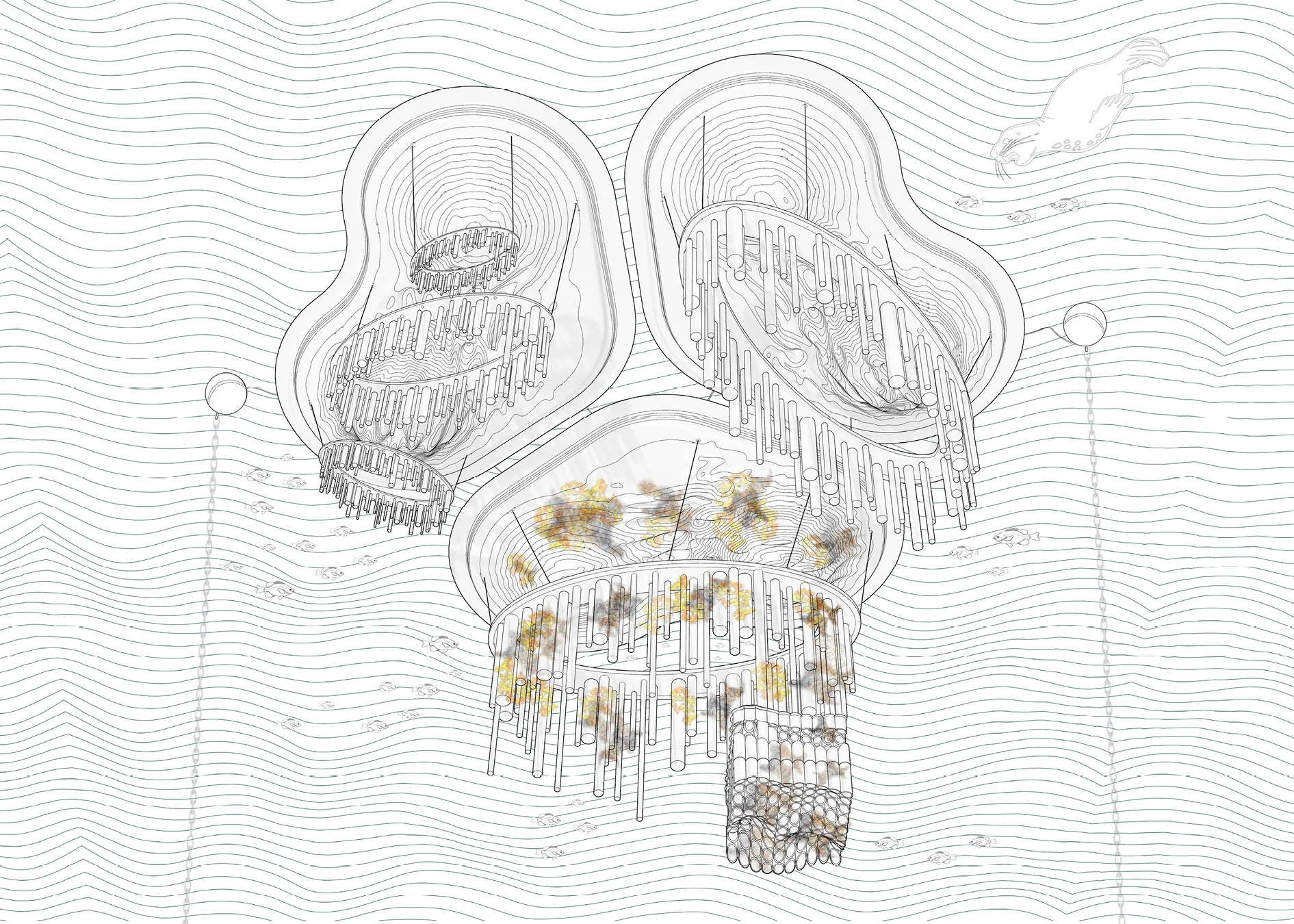 Buoyant Ecologies Project Wins 2019 Impact Award