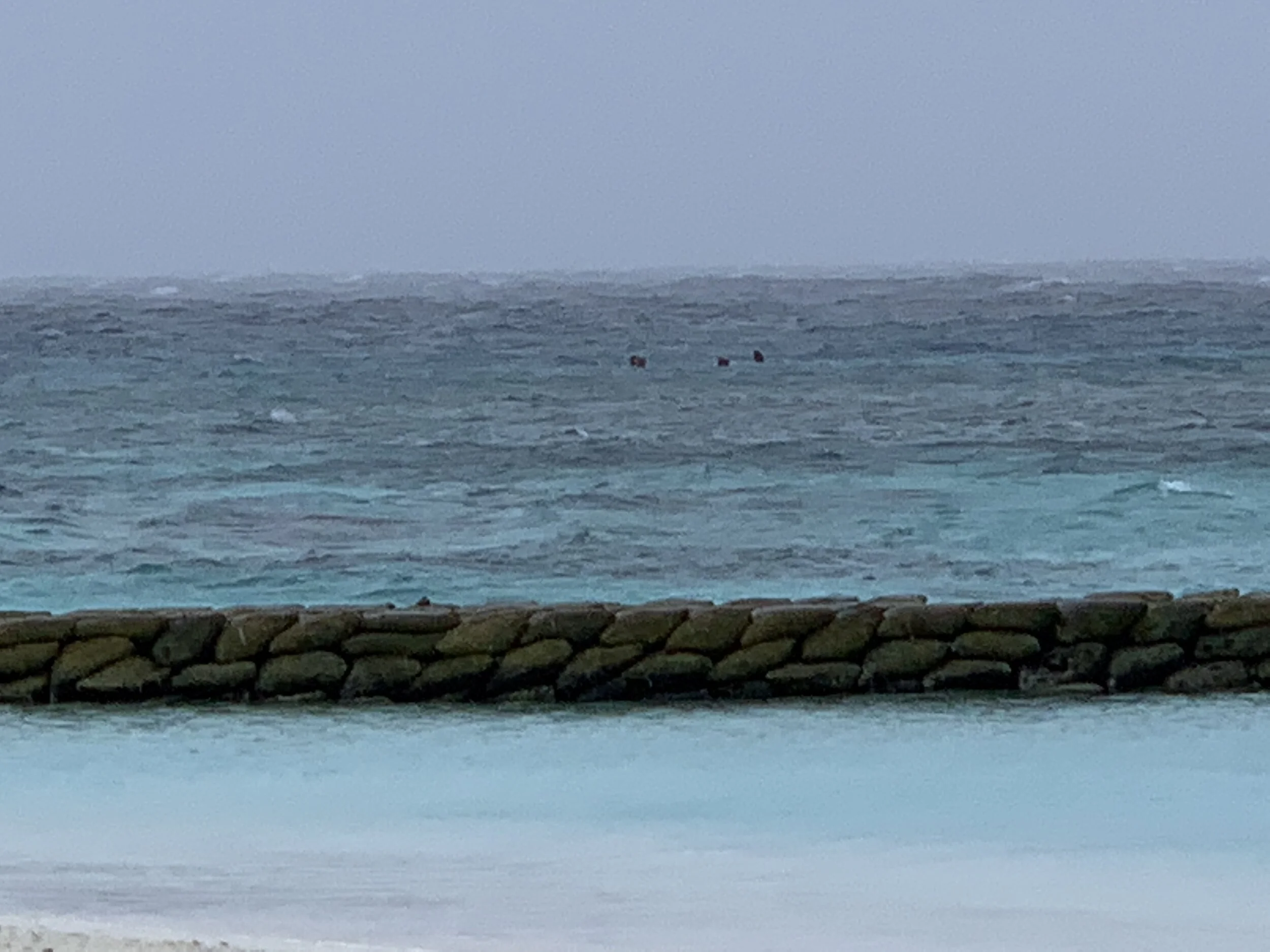 BE at Conrad: snorkel dive to see coral restoration.JPG
