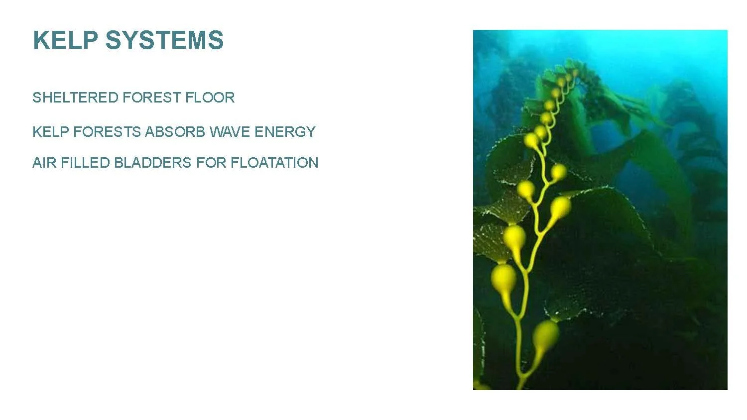 WAVEBREAKER CHAIN_Page_05.jpg