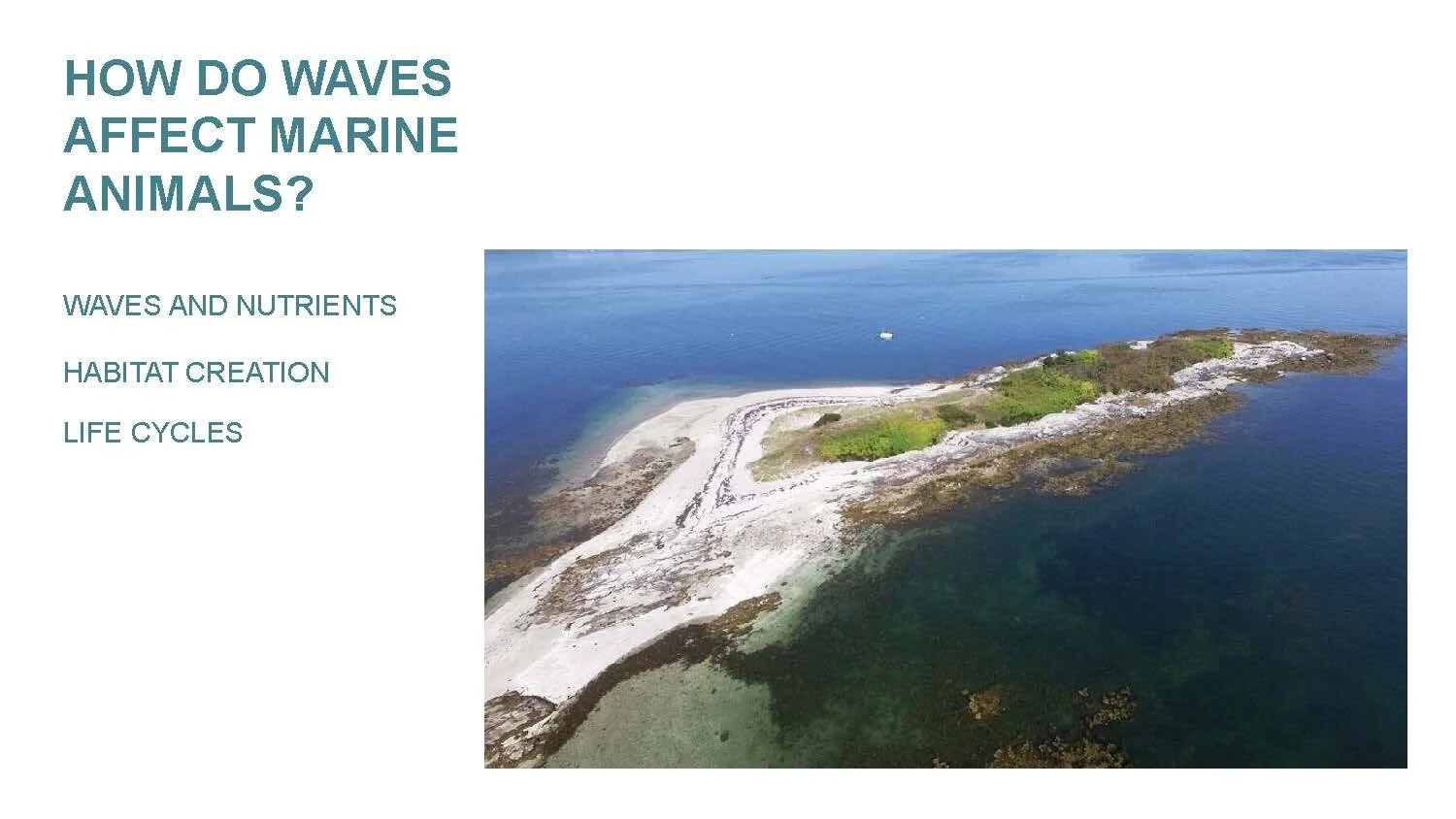 WAVEBREAKER CHAIN_Page_06.jpg