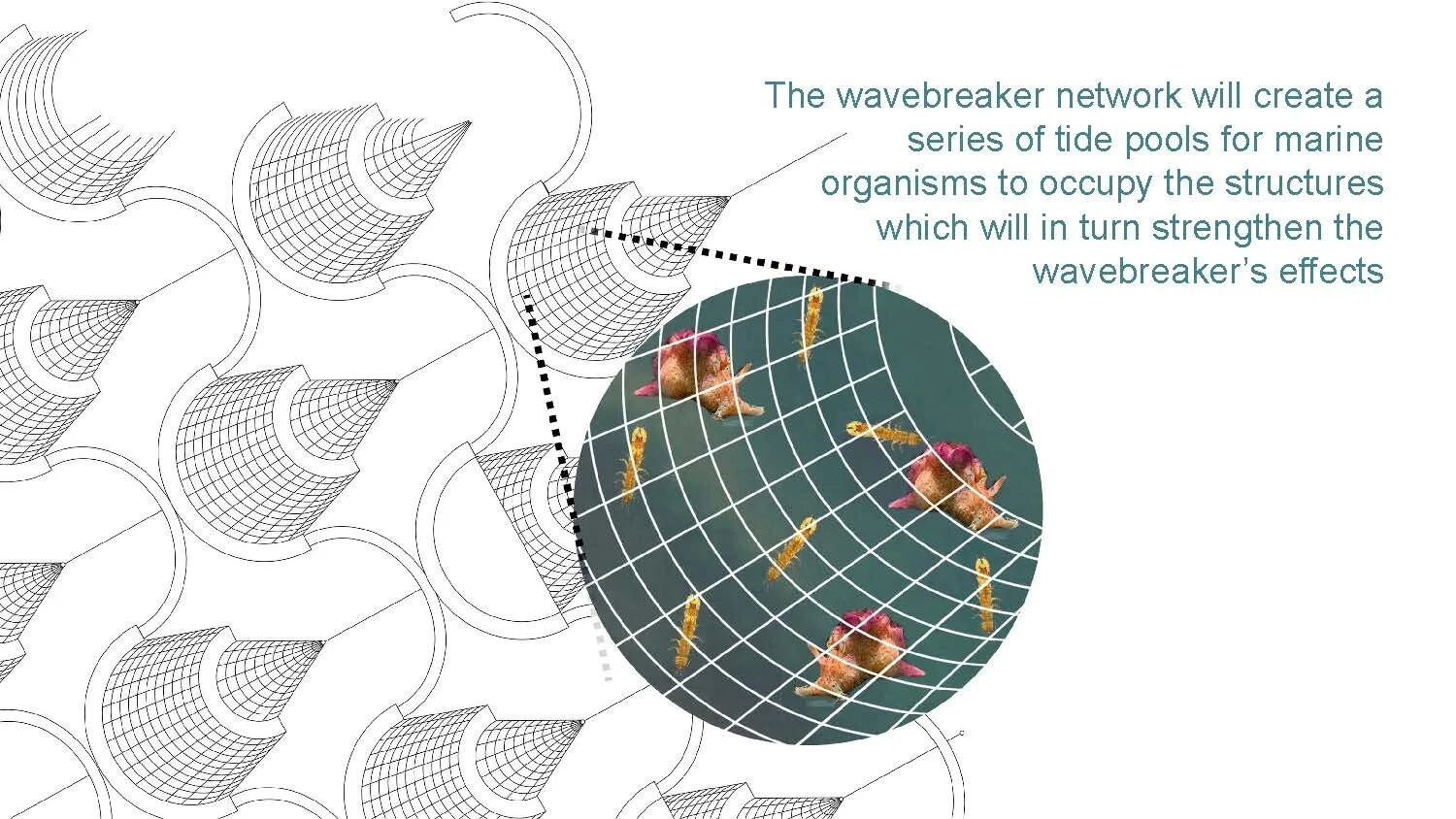 WAVEBREAKER CHAIN_Page_10.jpg