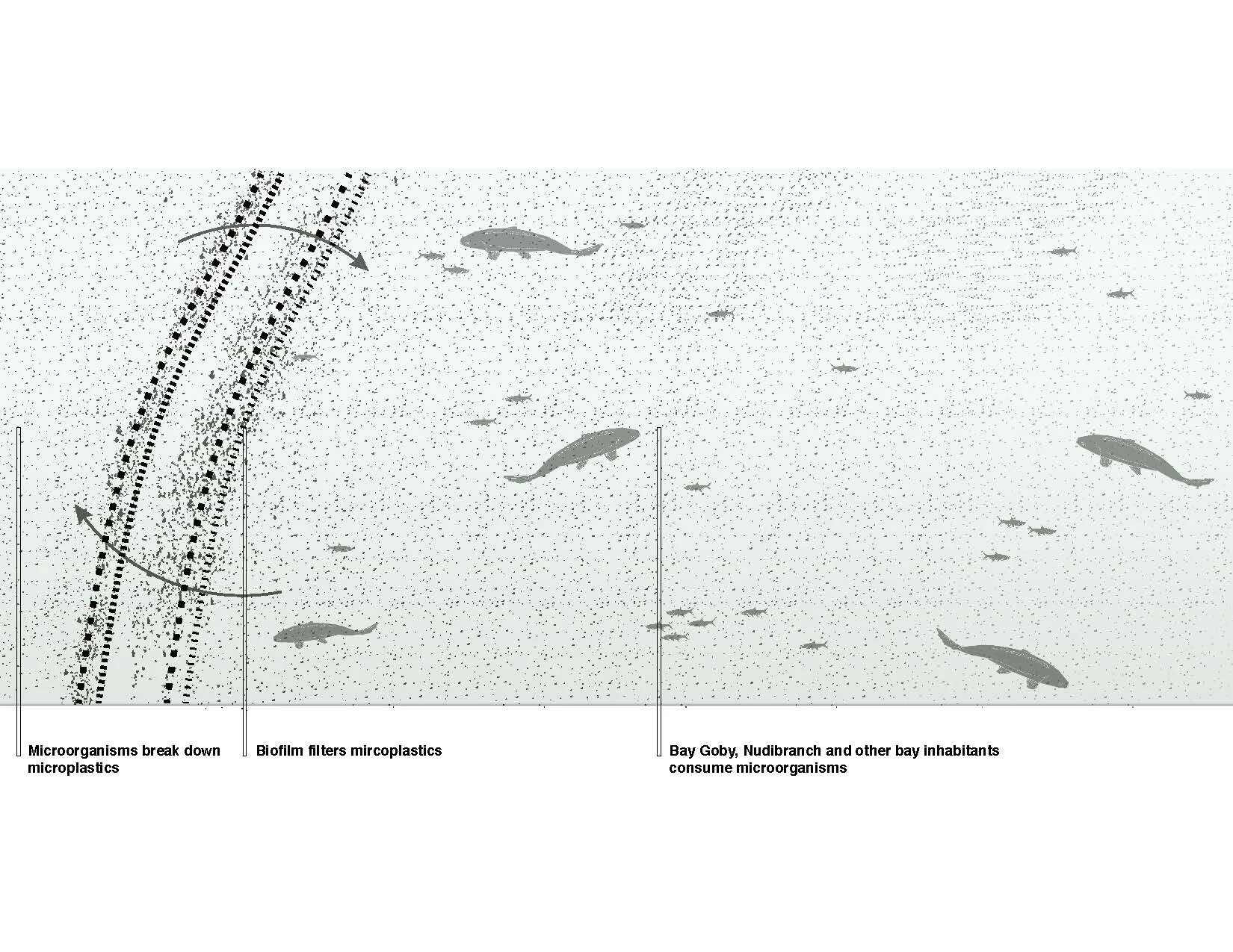 Ecologies_Presentation_Page_14.jpg