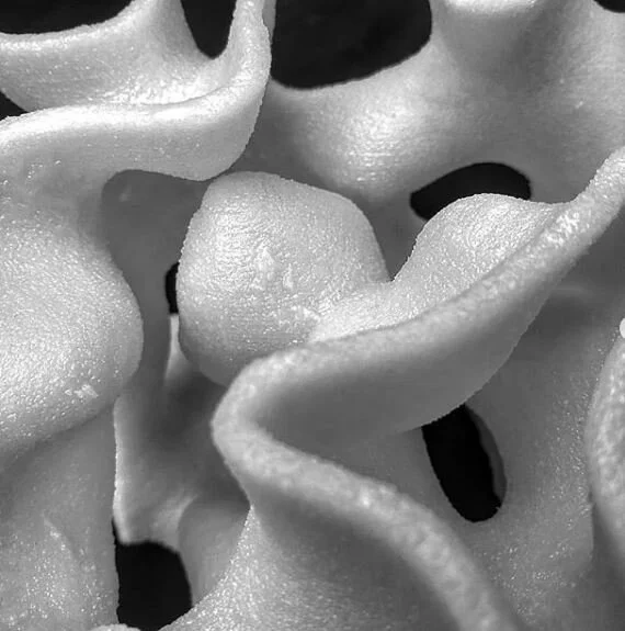 Constructed Ecologies I