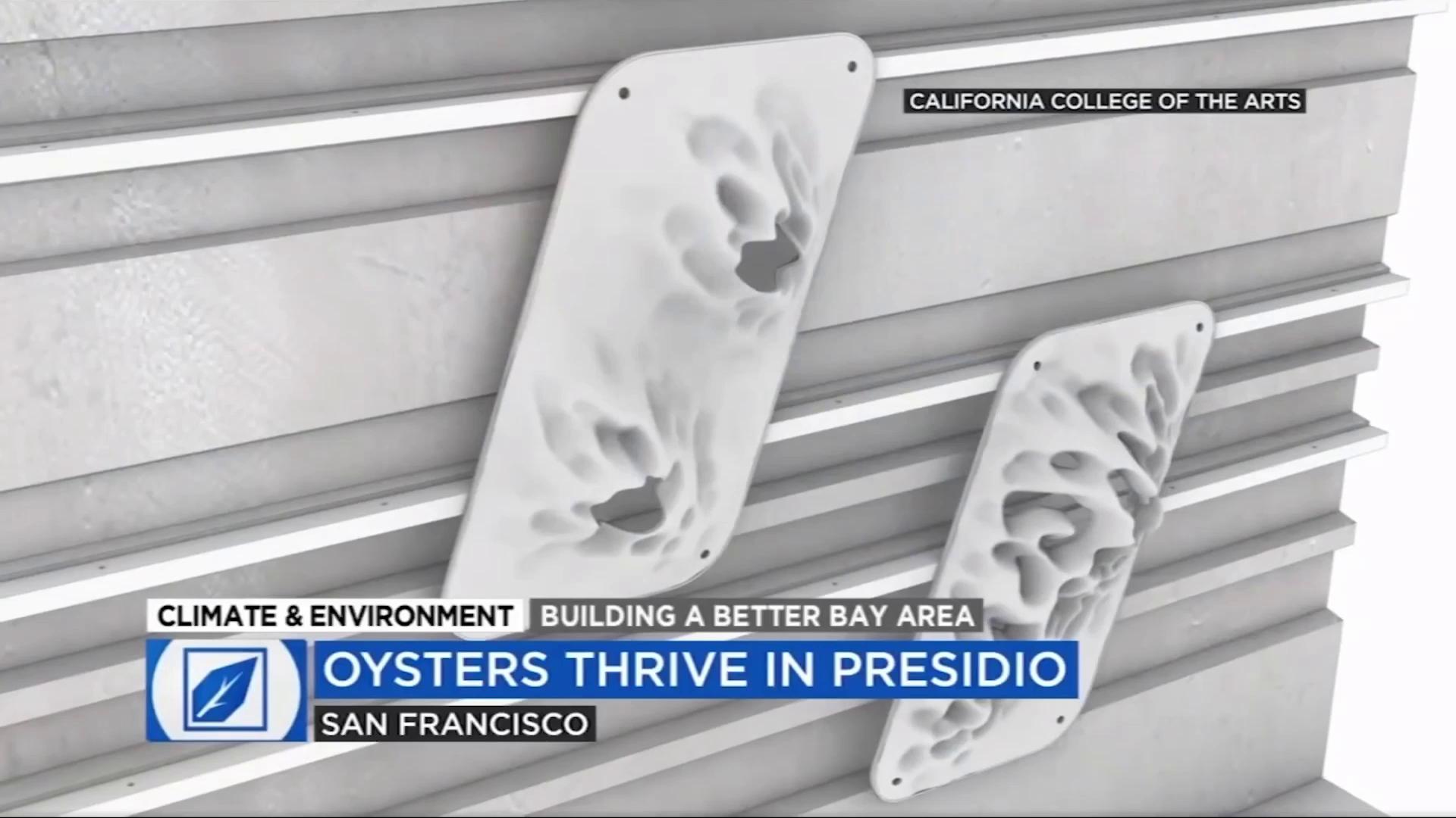 Presidio Reef Research Featured on ABC7 News