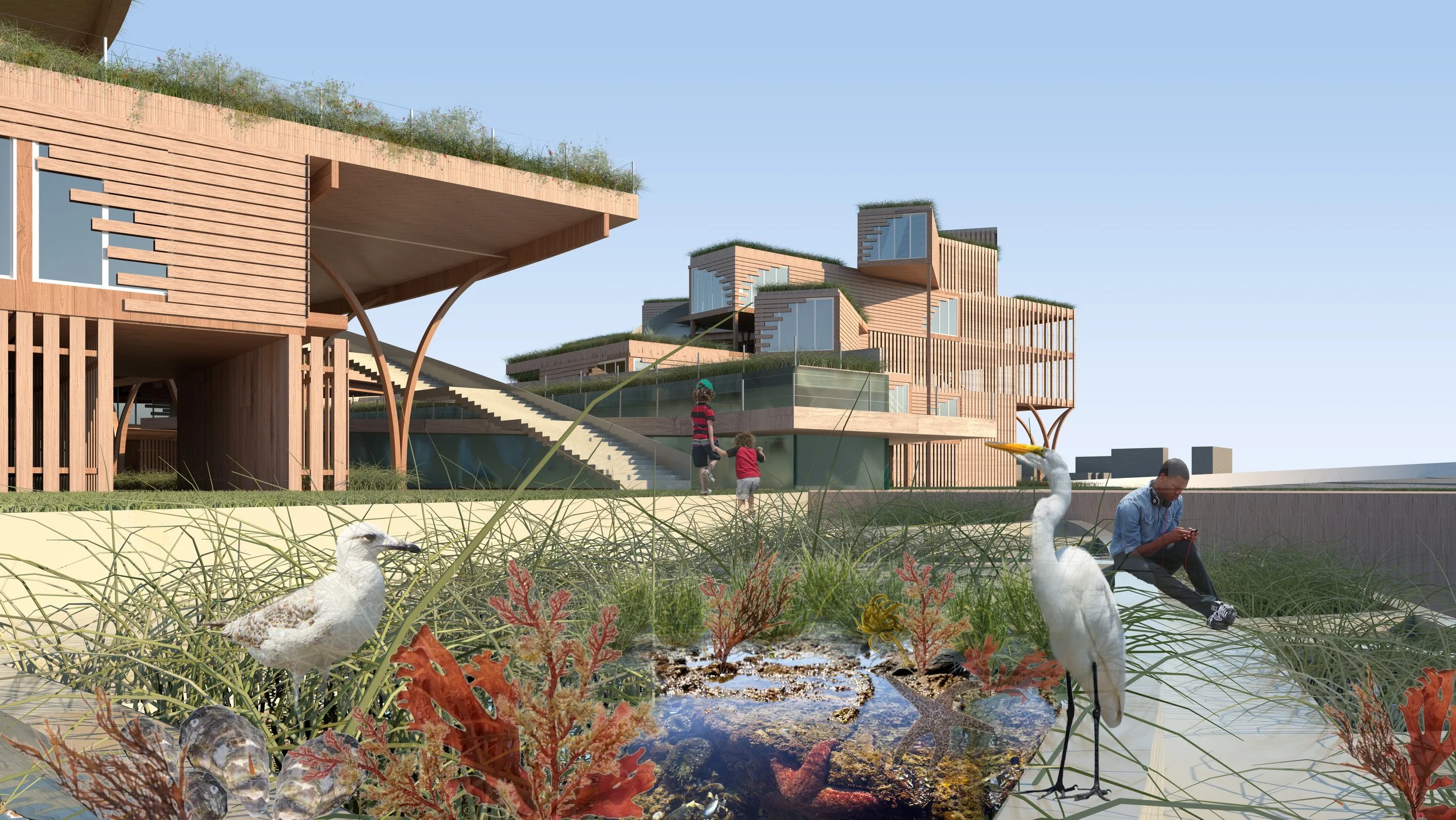 Urban Ecotones at Islais Creek II
