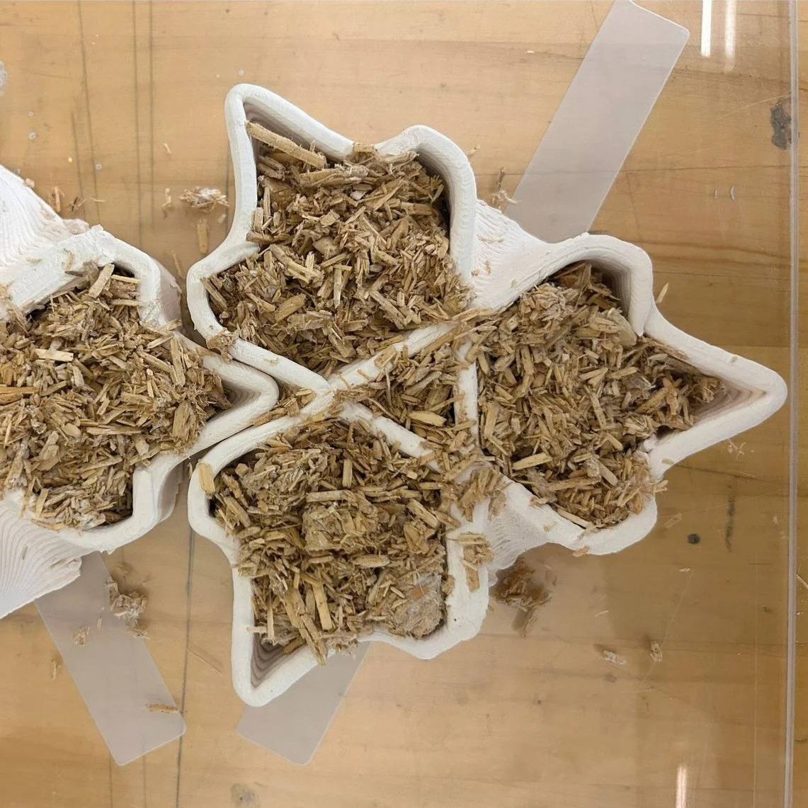 Constructed Ecologies 2023