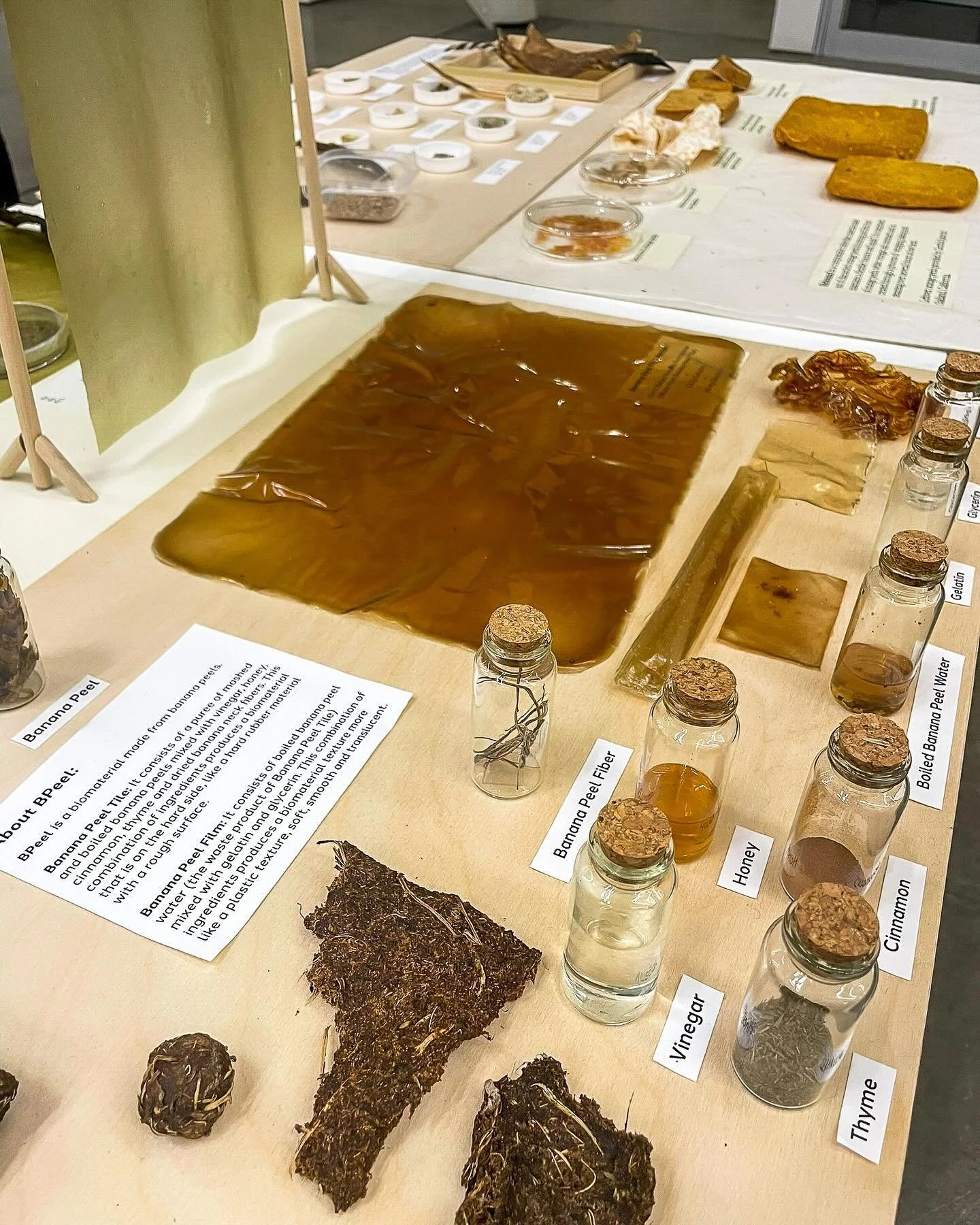 We are still thinking about these innovative biomaterial creations from our CCA students on display at our 2024 Biodesign Symposium! 

It is research such as this that helps to interrogate the materials of design to improve their embodied energy, env