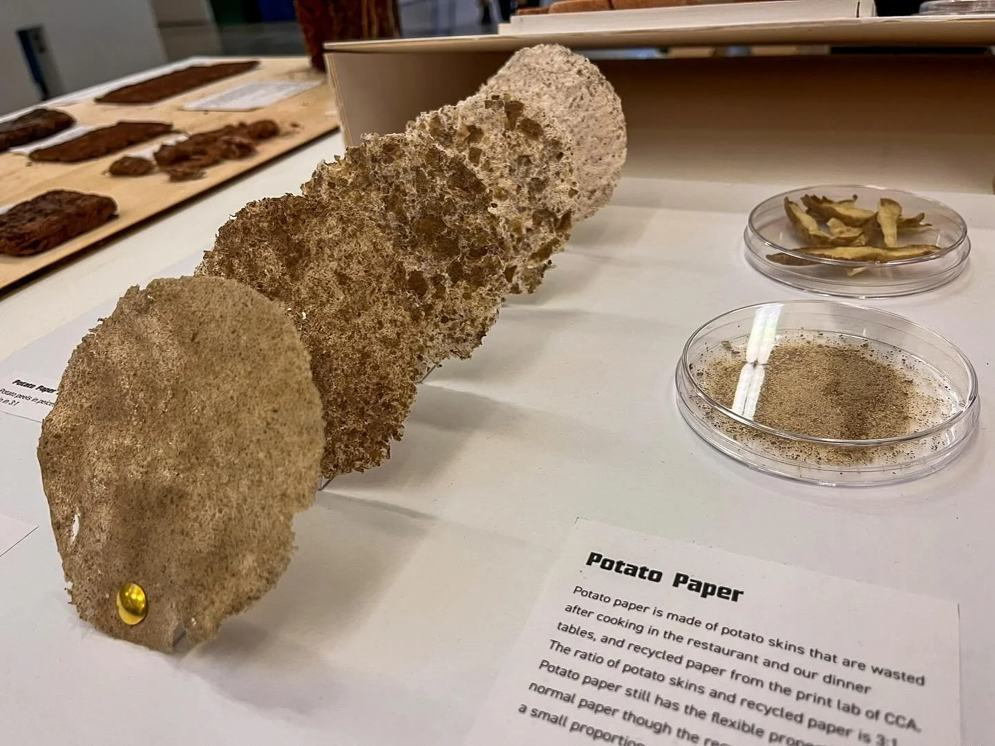 Here are some shots from our Spring 2024 Biomaterials Symposium &amp; Pop Up Exhibition! On display here are experimental prototypes for biomaterials from various classes at CCA. 

This event is all about bringing together architects, designers, and 