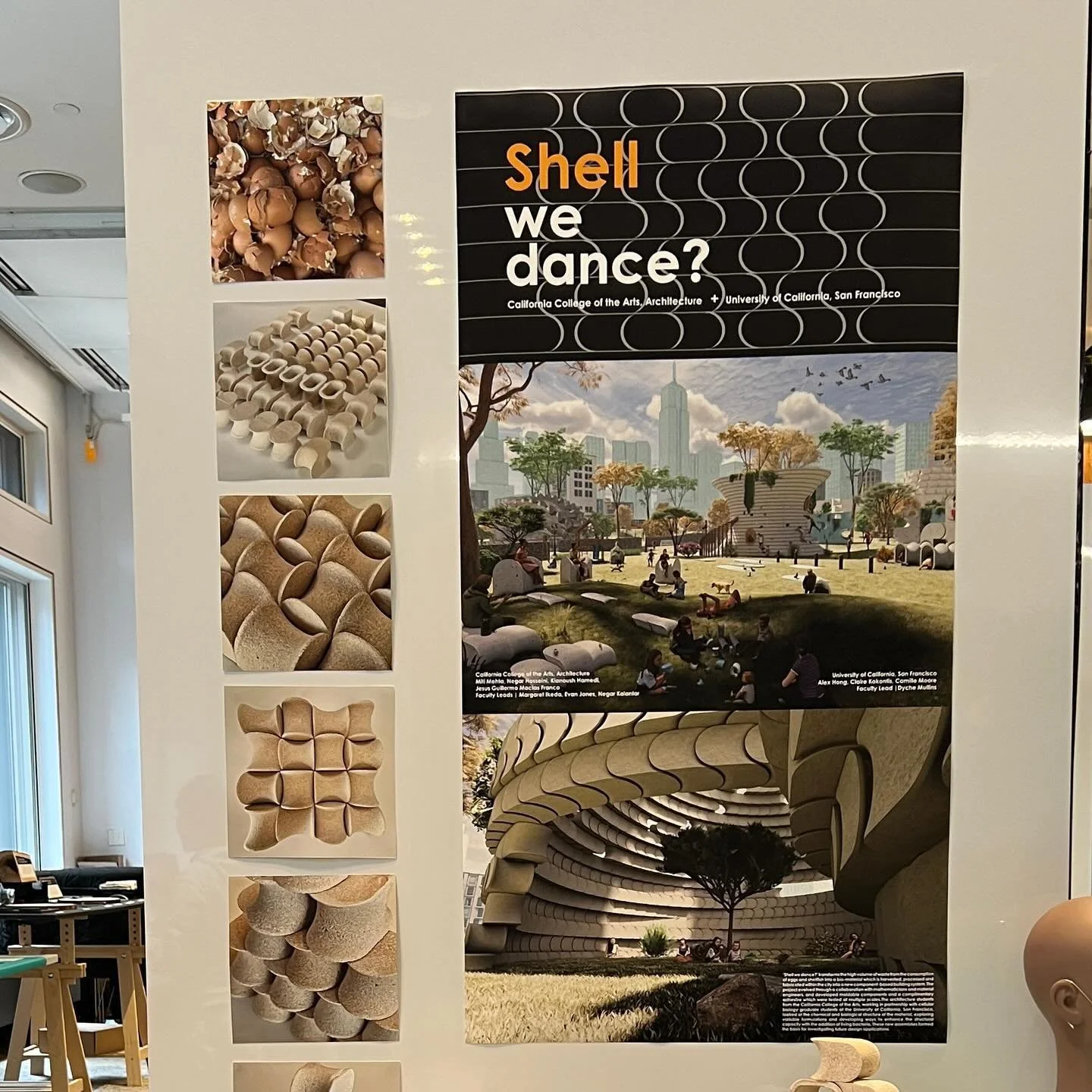 AEL is excited to announce that the project &lsquo;Shell we dance?&rsquo; led by professors Margaret Ikeda and Evan Jones of AEL, and Negar Kalantar of DCL and co-taught by Dyche Mullins (UCSF) was awarded the Outstanding Science award at the Biodesi