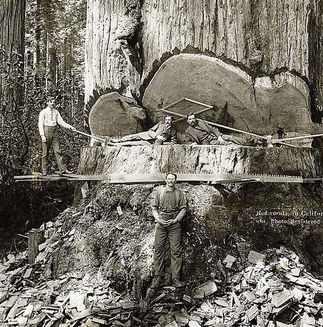 ARCHITECTURE AND ENVIRONMENT: ENTANGLED HISTORIES